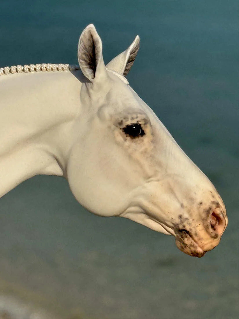 Miniatura de Cavalo - (#14)