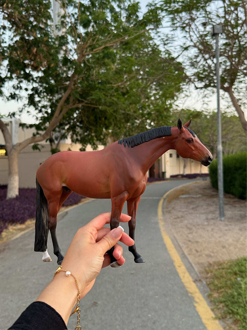 Miniatura de Cavalo - (#16)